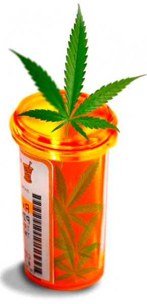 Положительные лечебные свойства марихуаны спасают людей