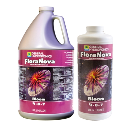 FLORA Nova Bloom купить в Украине